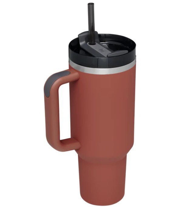 Stainless Steel Insulated Tumbler with Handle & Straw