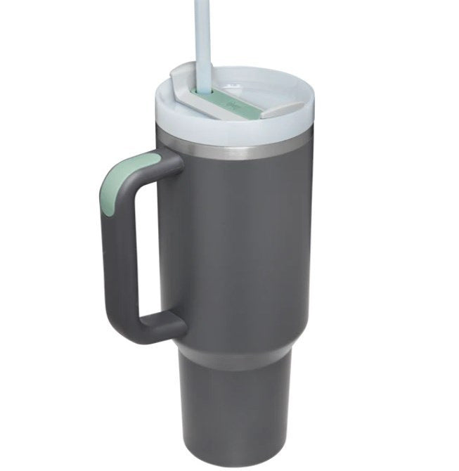 Stainless Steel Insulated Tumbler with Handle & Straw