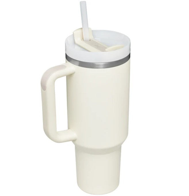 Stainless Steel Insulated Tumbler with Handle & Straw