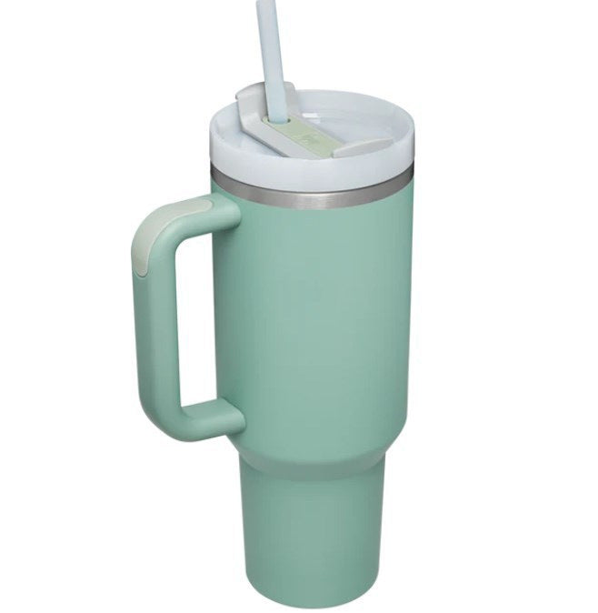 Stainless Steel Insulated Tumbler with Handle & Straw