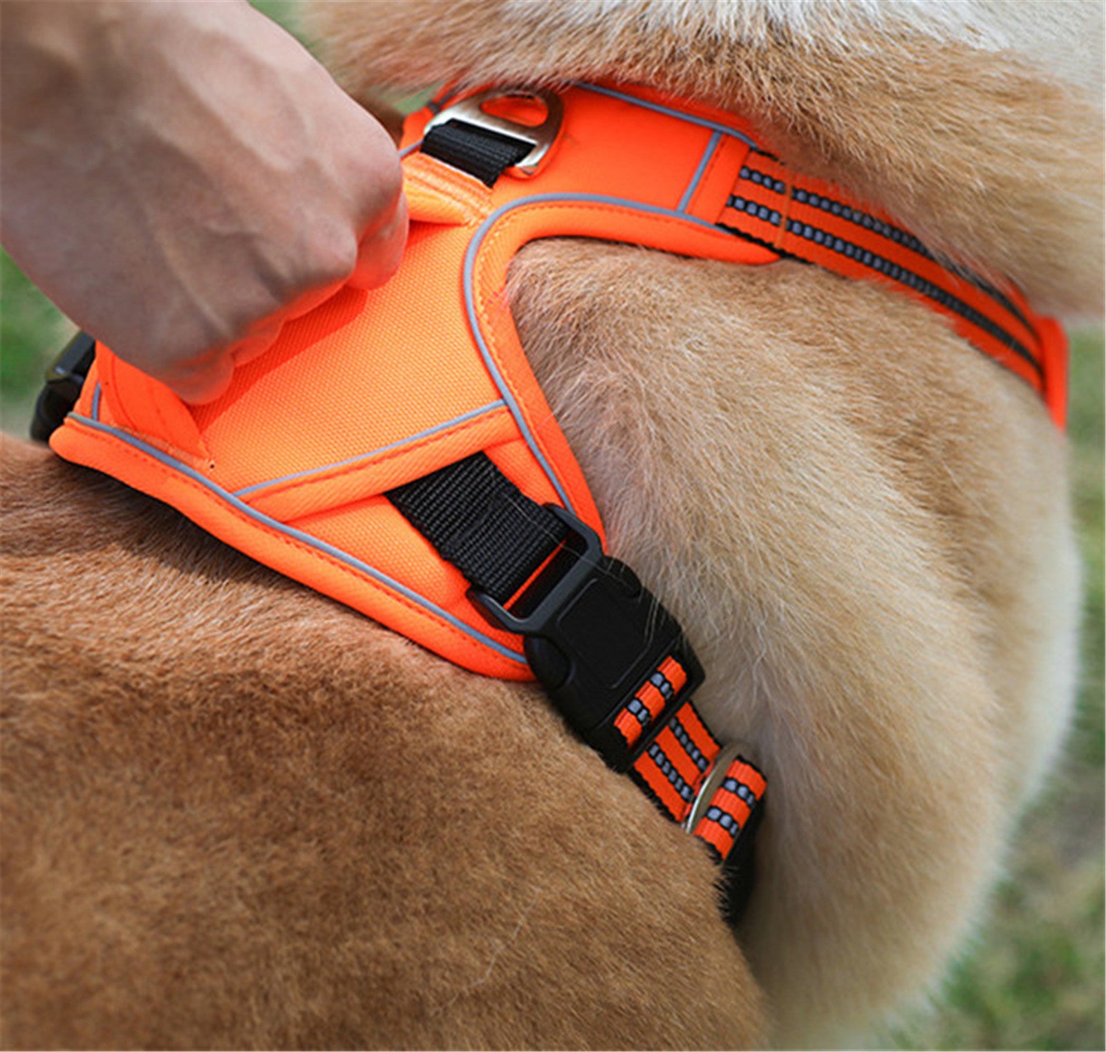 Lightweight Waterproof Pet Vest