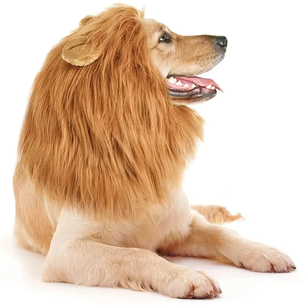 Realistic Lion Mane Pet Costume – Dog Cosplay Wig with Ears