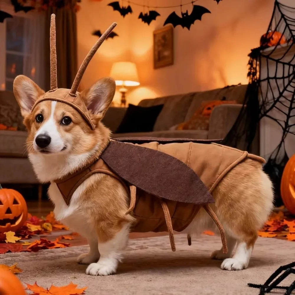 Realistic Cockroach Pet Costume – Funny Cat & Dog Cosplay Outfit