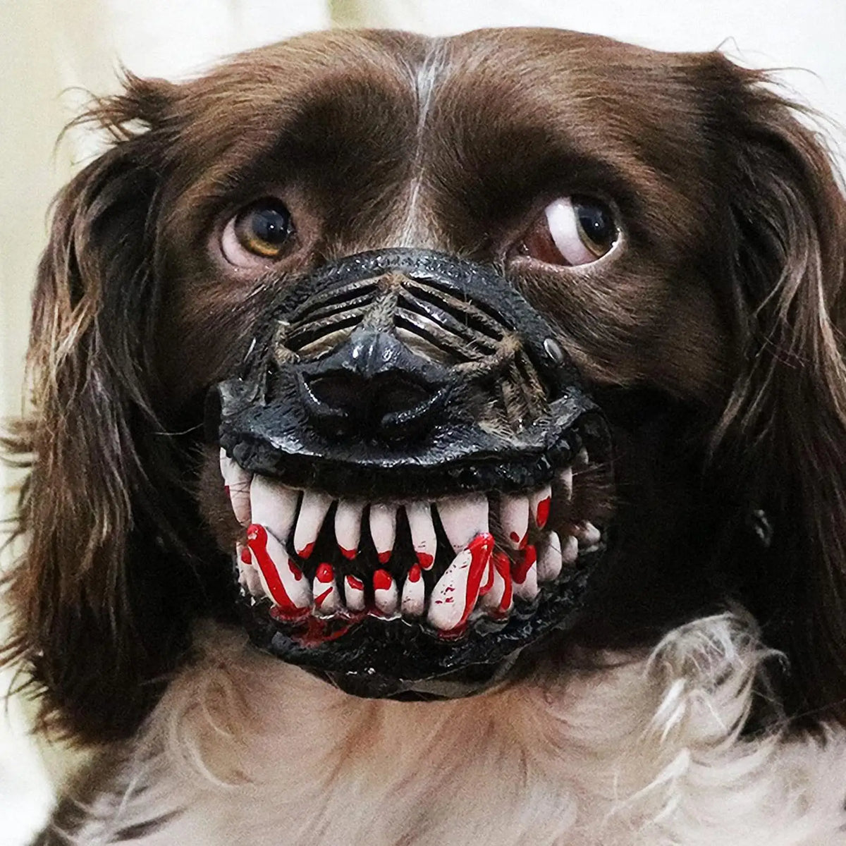 Scary Teeth Dog Muzzle – Halloween Horror Pet Costume