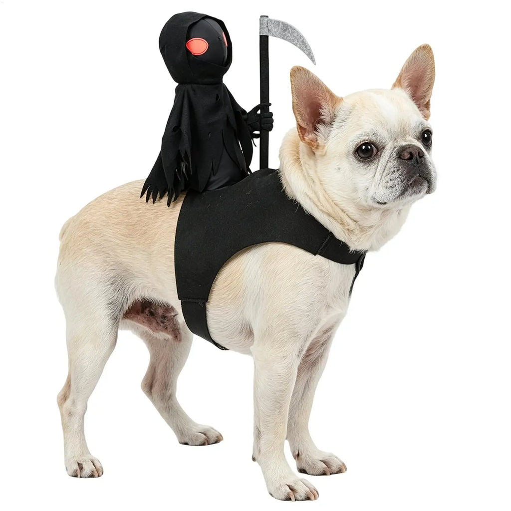 Death Knight Pet Costume – Halloween Dog & Cat Cosplay Outfit