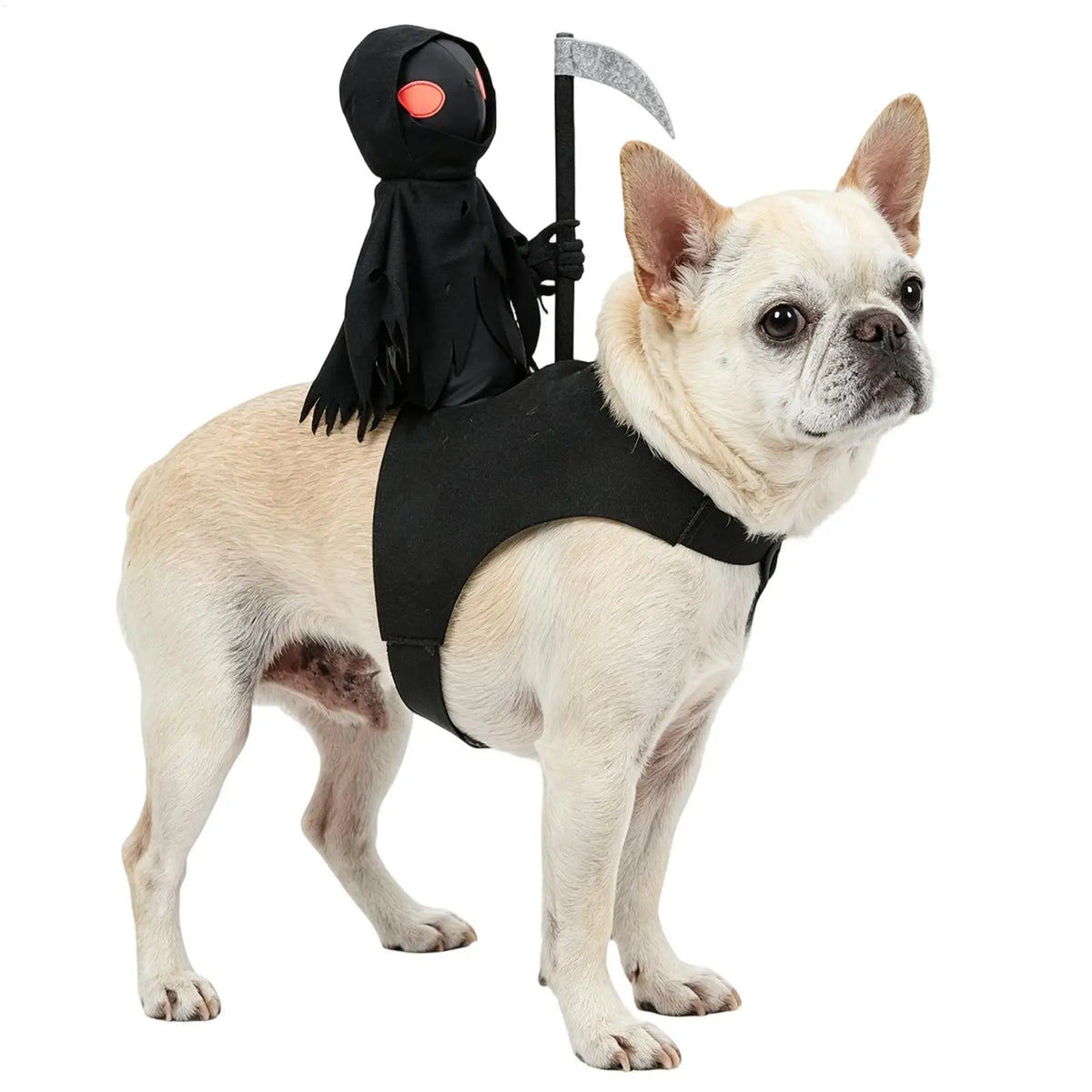 Death Knight Pet Costume – Halloween Dog & Cat Cosplay Outfit