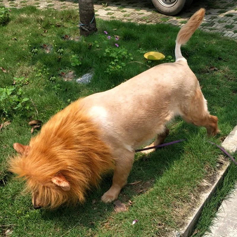 Realistic Lion Mane Pet Costume – Dog Cosplay Wig with Ears