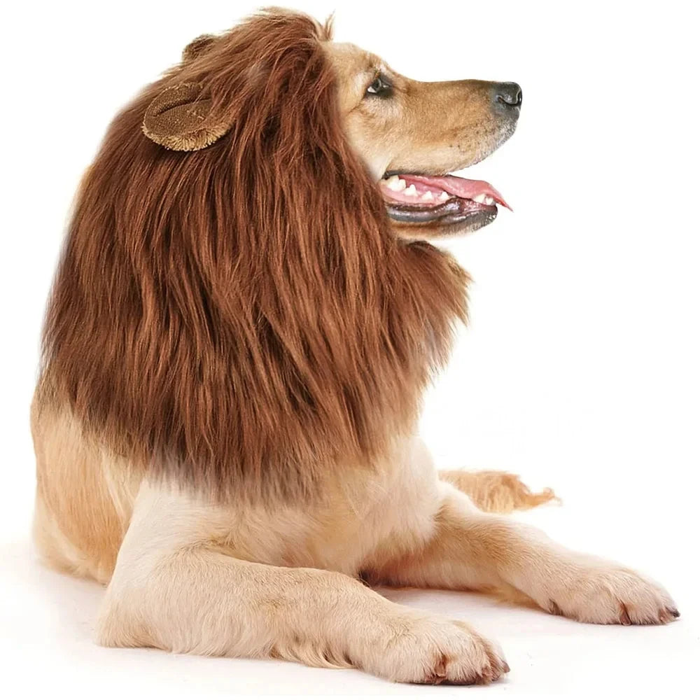 Realistic Lion Mane Pet Costume – Dog Cosplay Wig with Ears